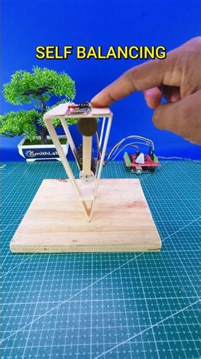 I Built a Self Balancing Pendulum Using Arduino!