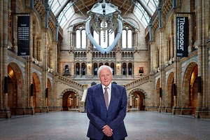 Sir David Attenborough and the Natural History Museum have teamed up for a new immersive experience