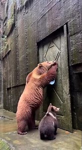A Simple and Effective Teaching Method: The Mother Bear's Stone Door Demonstration.