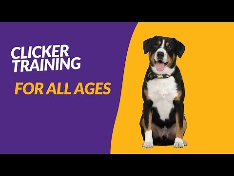 CLICKER TRAINING FOR ALL AGES