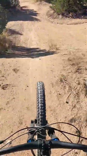 Super fun jumps 🤤🫣😤 #fypシ #jumps #mtb #mountainbikestunts #viral #bikelife