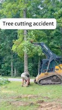 accidents occurred during tree felling practice . #shortsfeed #shorts #viral