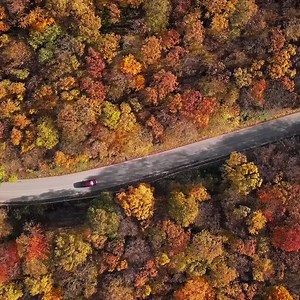 103 reactions | Boring is out, exploring is in! Best Western Rewards is the fastest way to free nights —where will you venture next? | Best Western Hotels & Resorts | Facebook