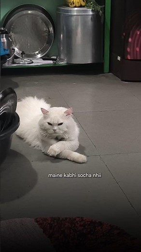 Download Intellij IDE #minivlog