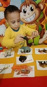 Anas 🌹 Animals topic | HANA-Academy