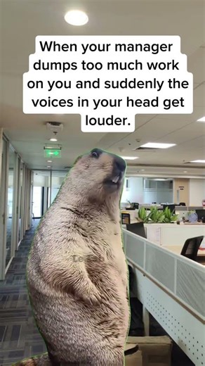 When Workload Hits Too Hard 💀 #funny #employeefirst #cat