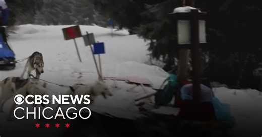 Dog sled teams race through snowy Czech mountains