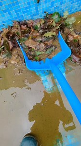 385K views · 24K reactions | @luisazissman holla’d ya boy!! 酪 #thep00lguy #hollayaboy #satisfying #oddlysatisfying | Thep00lguy | Facebook