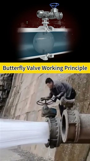 Butterfly Valve Working Principle #valve