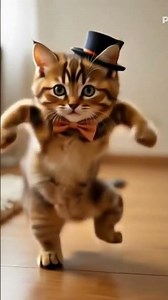 KITTEN Dance Party Like You've Never Seen Before! #cat #cute #catplay #catworld
