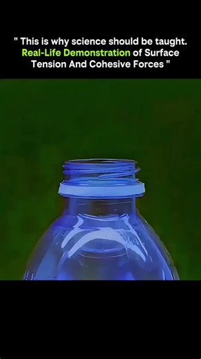 Entrepreneur | Startup Mindset | Business | **This Is Why Science Should Be Taught: Real-Life Demonstration of Surface Tension and Cohesive Forces** Science isn’t just formulas on a... | Instagram