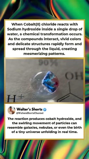 A Universe Inside One Drop? 💧🌌