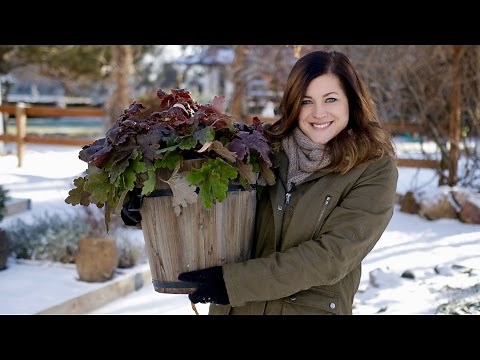 How to Overwinter Plants in Containers | Proven Winners Gardening Tips