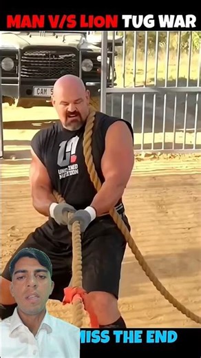 Lion vs Bodybuilder Tug of War Challenge! #animals #lion #bodybuilder