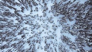 160 reactions · 17 shares | See the Northern Lights from your own private "igloo" at the AMAZING Borealis Basecamp in Alaska! tours4fun.co/5DayBorealisBasecamp | Tours4fun | Facebook