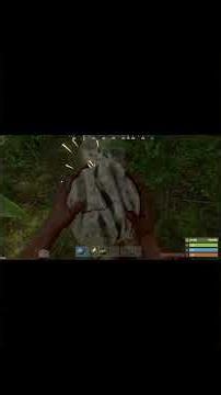 Rust Beginner's Guide #1 Getting Tools