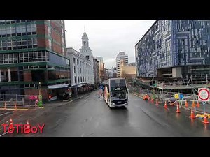 Auckland City Hop on Hop Off Bus tour