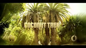 Mohombi - Coconut Tree ft. Nicole Scherzinger - YouTube