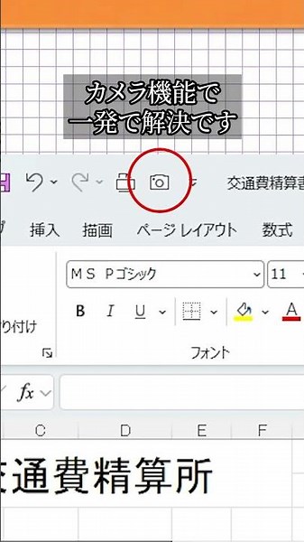 【Excel】知ってる？カメラ機能 #Excel #時短 #パソコン