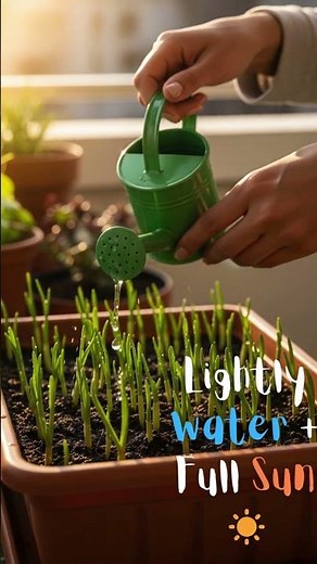 🌱 How & When to Plant Garlic in Containers | Easy Balcony Gardening Guide 🧄