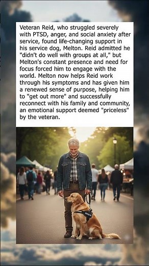 Service Animal Teaches Veteran With PTSD How to Trust and Socialize Again