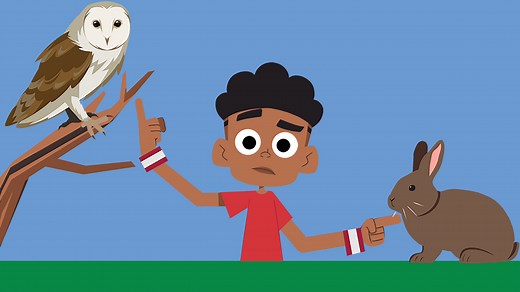 What is a food chain? – KS1 Science curriculum - BBC Bitesize