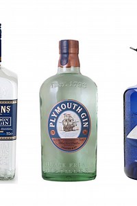 Britain’s Best Juniper-rich and Robust Gins