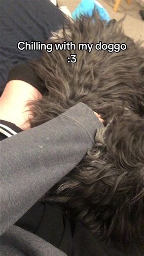 He’s so cute #cuddle #dog #femboy #femboytiktok #goodboy | femboy