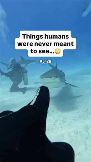 Eternal Wisdom Library | ✨#1 Spiritual Guide Bestseller 📖 | How to win!? 🏆19 year old Harward student explains. …and it’s not discipline and hard work… | Instagram