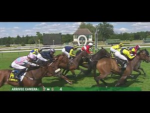 Comment gagner aux courses de chevaux - Secrets révélés !