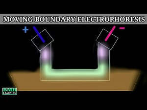 Moving Boundary Electrophoresis | Types Of Electrophoresis |