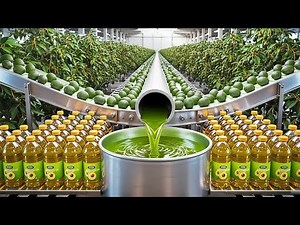 How Avocado Oil Is Made 🥑 Full Factory Process