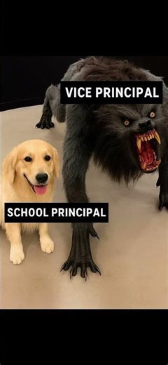 When the Vice Principal Walks in 😂#memes #funnymemes #relatablememes
