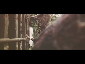 Lover's Point - Late Cambrian (official MV)