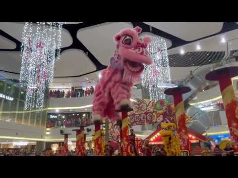 2026 feb 20th : cny lion dance performance at Compass One Singapore