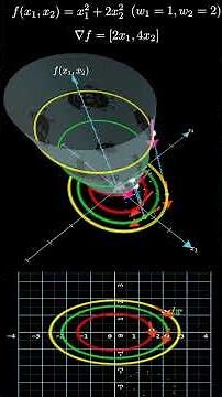 Visual Proof Gradient ⟂ Contour Lines #manim #maths #datascience #gradient #machinelearning