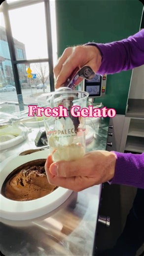 Downtown Plano on Instagram: "Enjoy 50% OFF ALL ITEMS on the menu (excluding alcohol) 1/10 and 1/11 only!!!! 🤩☕️🍦 We are so excited to welcome @pappalecco to our Downtown Plano family. Can’t go wrong with fresh gelato, yummy paninis, and quality coffee. 🤤 #downtownplano #dfw #dfwfoodies #planotx #dallas"