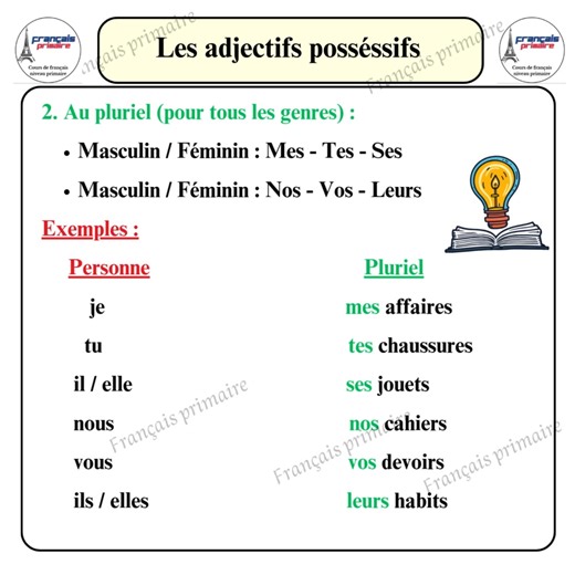 Les adjectifs possessifs. #french #communication #Français #apprentissage #cours #grammaire #texte | Français Primaire