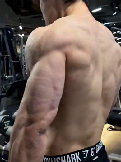Dissecting the arm anatomy through pure daily volume 🗡️ #gym #bodybuilding #motivation #aesthetic #gymsharkonyx