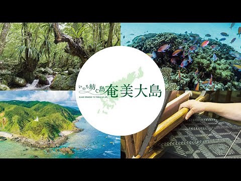 奄美大島【4K・HDR】4K Ultra HDブルーレイ　サンプルムービー