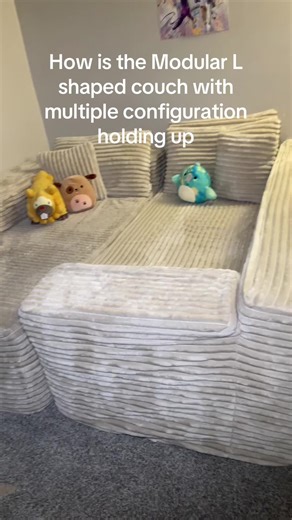Modular L Shaped Couch Review for Kids and Families