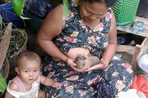 Breastfeeding animals by humans: The milk of human kindness? | theAsianparent Malaysia