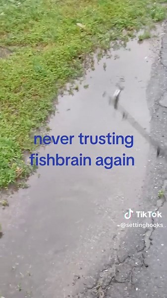 Why You Should Think Twice About Fishbrain