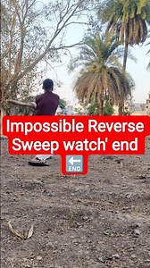 How Pro Players Execute This Risky Reverse Sweep #CricketTraining #skills #cricket #shorts