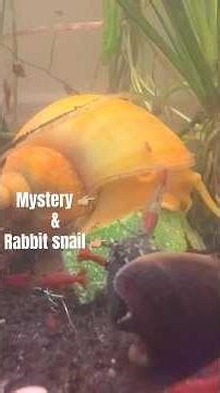 Everyone loves zucchini 🐌🥒