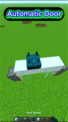 Stop Using Buttons – Try This Auto Door Instead