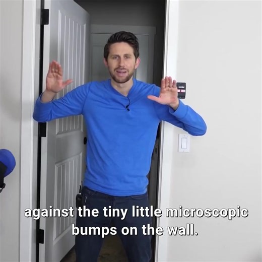 How much weight can a spider carry while climbing? 🕷️💪 | The Action Lab