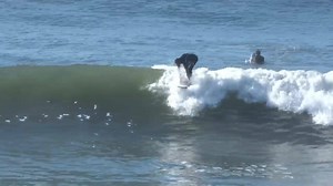 6.1K views · 223 reactions | Nice looking waves about to finish the year off! | Surfcoast Surf Report | Facebook