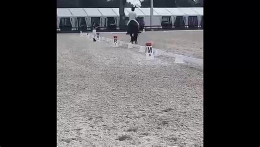 Here are some highlights from my 3rd level test. Gene can be such a pain but then will redeem himself and be good as gold. On Saturday I had to withdrawn for naughty behavior(🙄🙄🙄Silly horse) but then he redeemed himself in my 2nd level test giving me a 60.91% finishing up my 2nd level scores. So now to chase just 1 3rd level score. Hoping to have my bronze for Christmas! Would be the best Christmas gift ever!!! It’s taken me almost 20 yrs to achieve this goal. I can’t thank Chrissa enough for