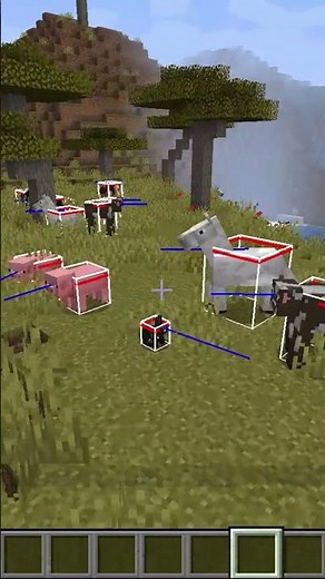 Hitbox anzeigen in Minecraft #shorts